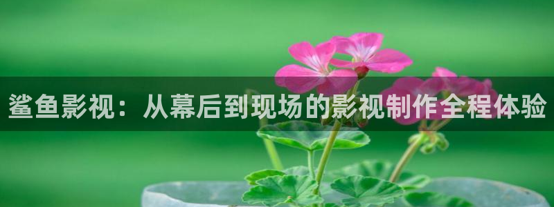 草莓视频app免费在线观看