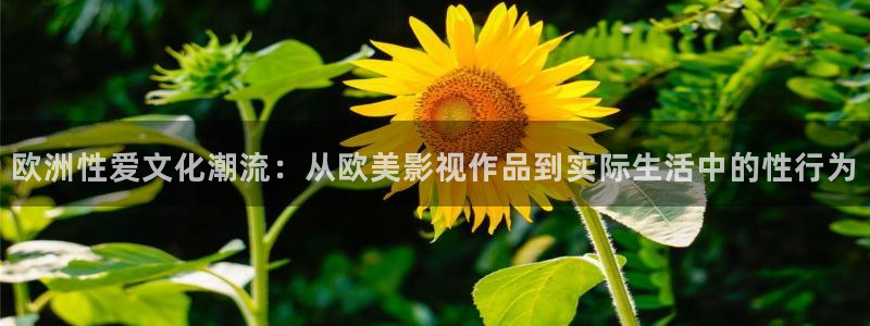 草莓视频免费观看52x：欧洲性爱文化潮流：从欧美影视作品到实际生活中的性行为