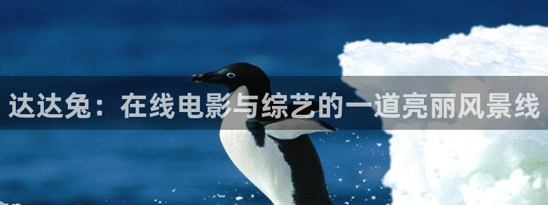 草莓视频免费在线观看app