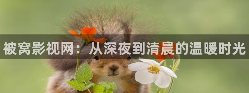 草莓视频十八岁：被窝影视网：从深夜到清晨的温暖时光